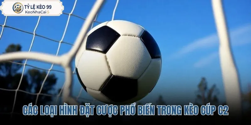 cac-loai-hinh-dat-cuoc-pho-bien-trong-keo-cup-c2 cac-loai-hinh-dat-cuoc-pho-bien-trong-keo-cup-c2