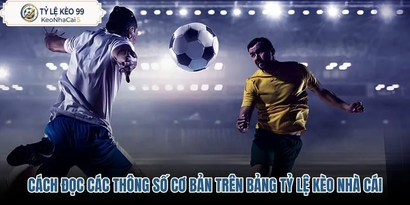 Hướng dẫn đọc thông số cơ bản trên bảng tỷ lệ kèo