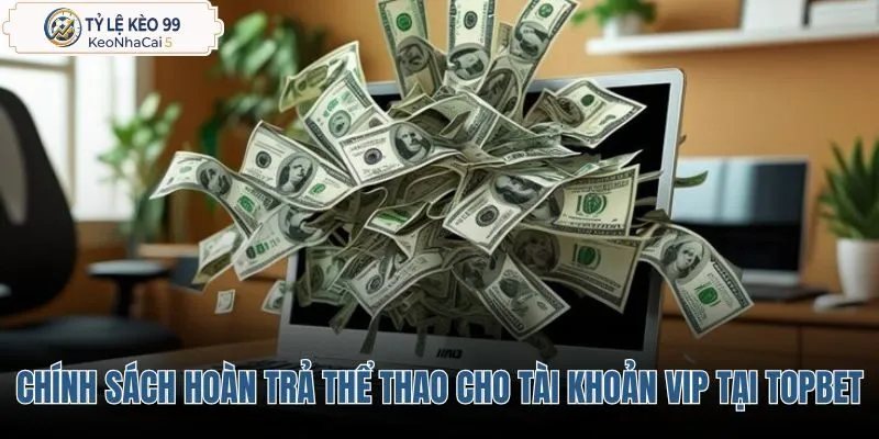 chinh-sach-hoan-tra-the-thao-danh-cho-tai-khoan-vip-tai-topbet