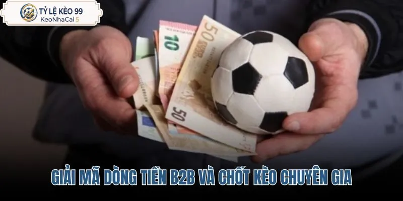 giai-ma-dong-tien-b2b-va-chot-keo-chuyen-gia