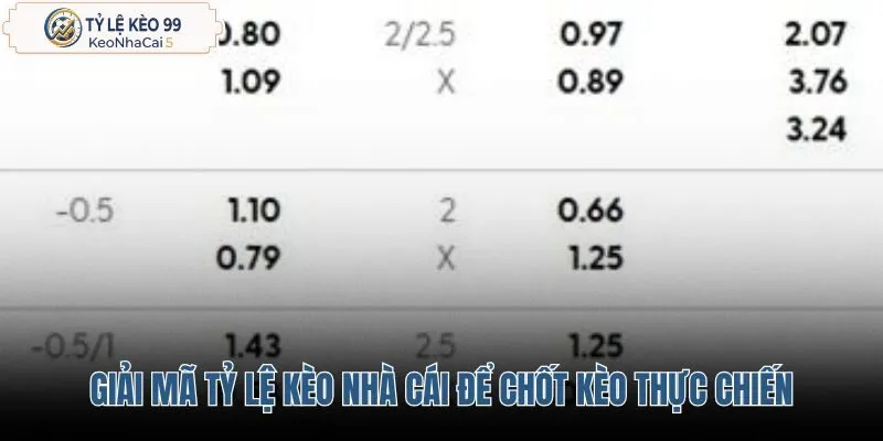 giai-ma-ty-le-keo-nha-cai-de-chot-keo-thuc-chien