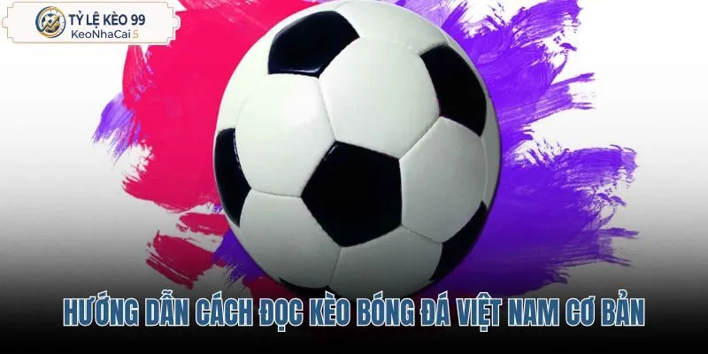 huong-dan-cach-doc-keo-bong-da-viet-nam-co-ban
