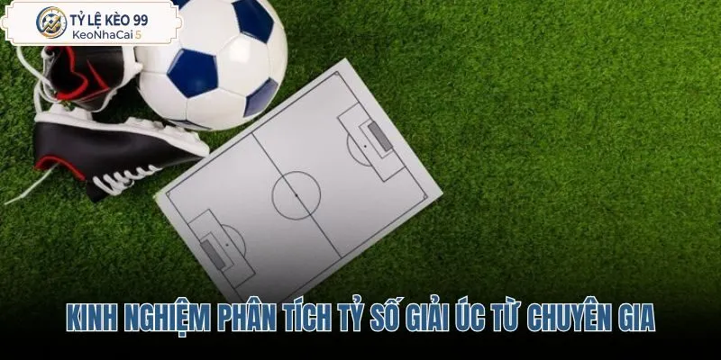 kinh-nghiem-phan-tich-va-du-doan-ty-so-giai-uc-tu-chuyen-gia