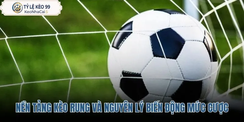 nen-tang-keo-rung-va-nguyen-ly-bien-dong-muc-cuoc nen-tang-keo-rung-va-nguyen-ly-bien-dong-muc-cuoc