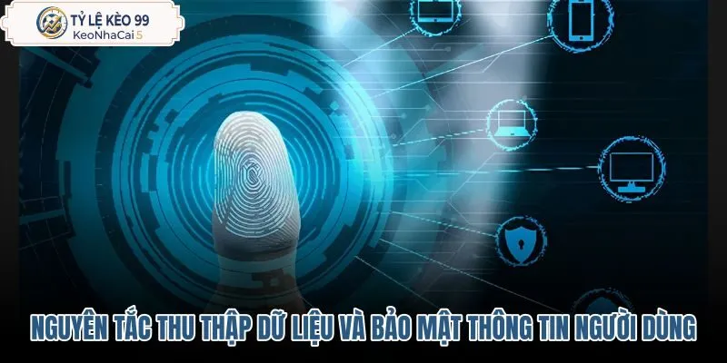 nguyen-tac-thu-thap-du-lieu-va-bao-mat-thong-tin-nguoi-dung