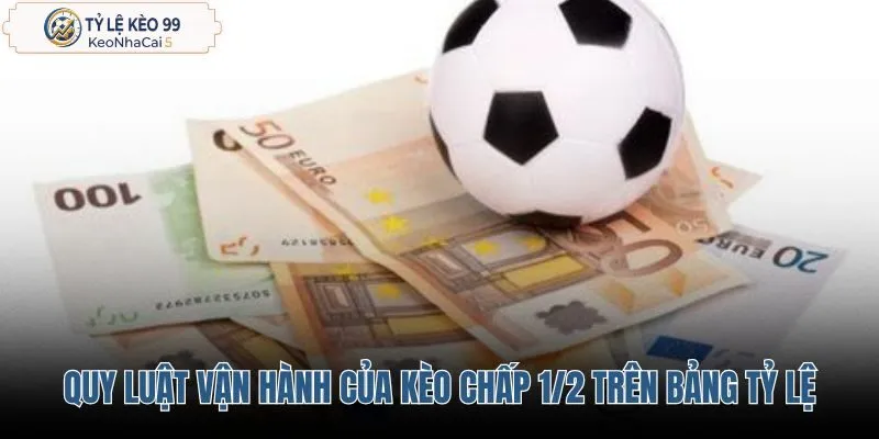 quy-luat-van-hanh-cua-keo-chap-1-2-tren-bang-ty-le quy-luat-van-hanh-cua-keo-chap-1-2-tren-bang-ty-le