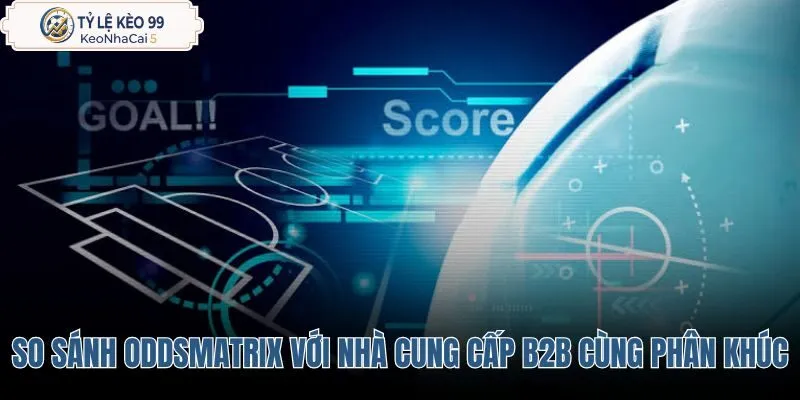 so-sanh-oddsmatrix-voi-cac-nha-cung-cap-b2b-cung-phan-khuc