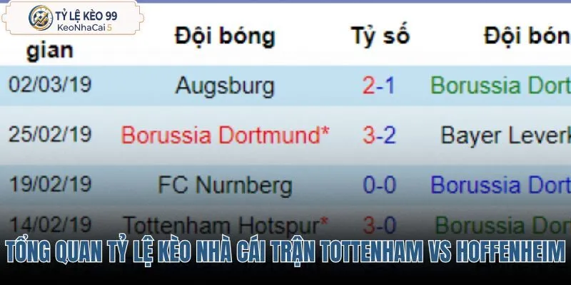 tong-quan-ty-le-keo-nha-cai-tran-tottenham-vs-hoffenheim